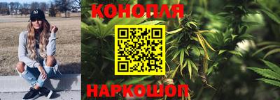 стафф Дубна