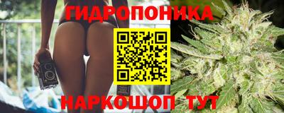 стафф Дубна