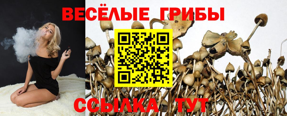 Мелеуз  Псилоцибиновые грибы MAGIC MUSHROOMS  Вход с VPN 